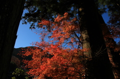 室生寺