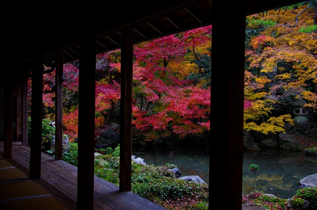 蓮華寺