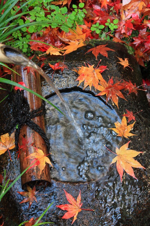 東福寺