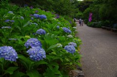 鶴舞公園（名古屋）