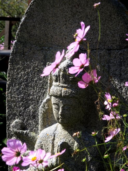 般若寺の仏像と秋桜