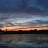 ちょっと不気味な夕暮れ