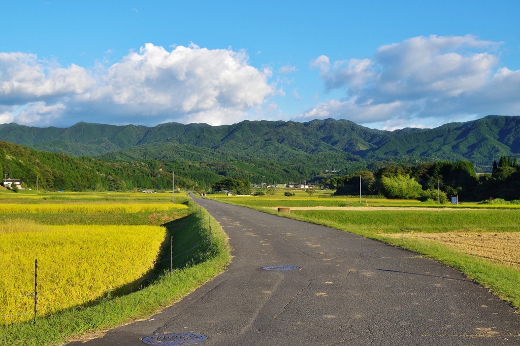 郷愁