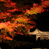 ライトアップ紅葉