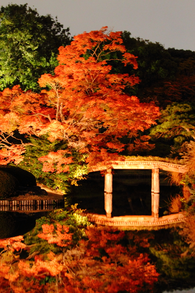 シンメトリー