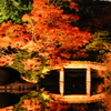 シンメトリー