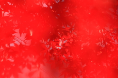 まっ紅っ