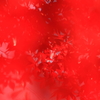 まっ紅っ