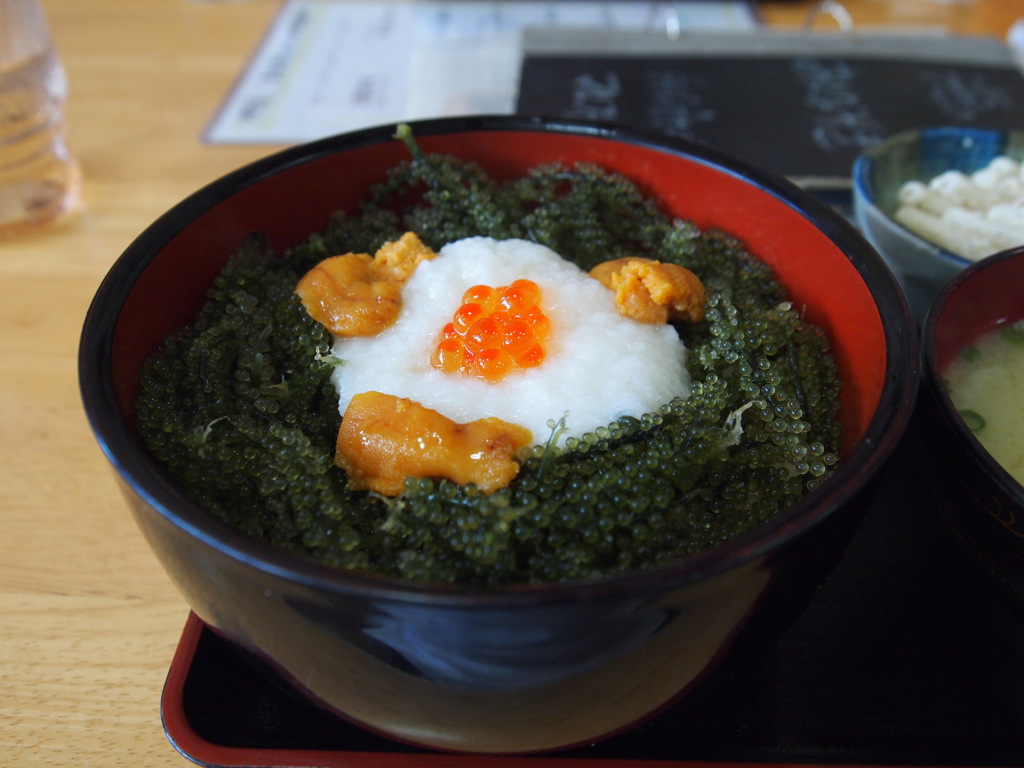 海ぶどん