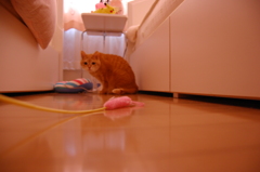 狙ってる・・・