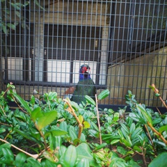 IMG_20130228_105853