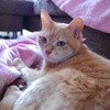 猫とおはなししてるとき