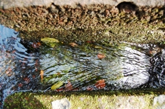 水