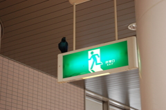 なぜそこに！？