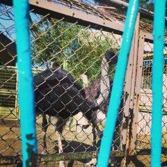 IMG_20130228_110009