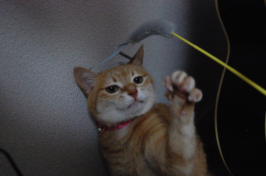 パー