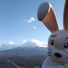 うさぴょん