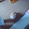 なにくれるの？