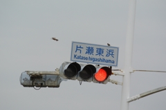 ちゅん