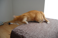 シュッ