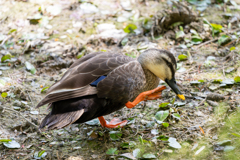 ちょっと行ってくるわ