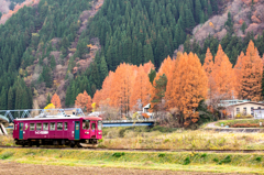 This scenery