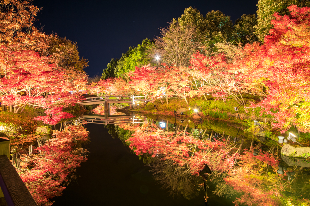 Momiji...*＊