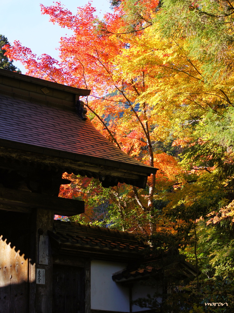 谷汲山華厳寺