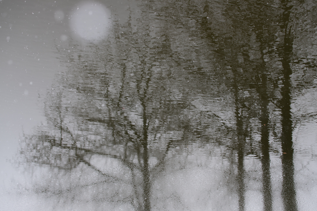 Cold of winter