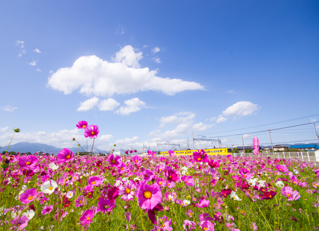 青い空を泳ぐ雲～♪