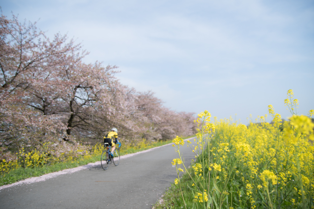 Running in spring