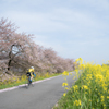 Running in spring