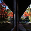 六華苑の紅葉