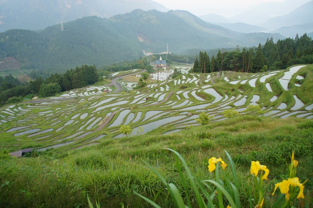 静かな朝