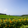 夏の淡路