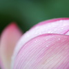 after the rain