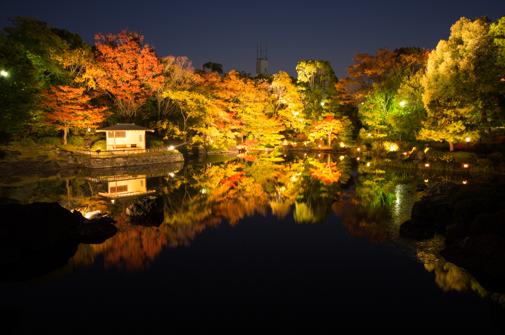 白鳥庭園