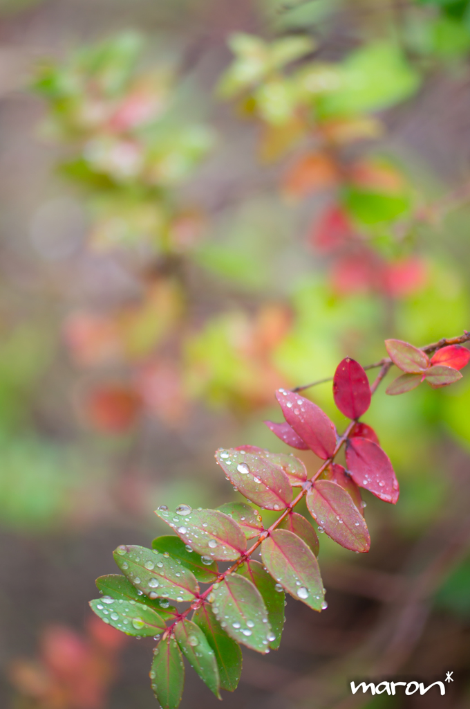 gradation