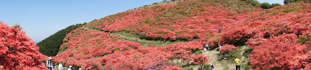 葛城山一望