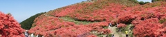 葛城山一望
