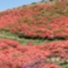 葛城山一望