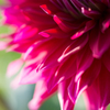favorite color～*