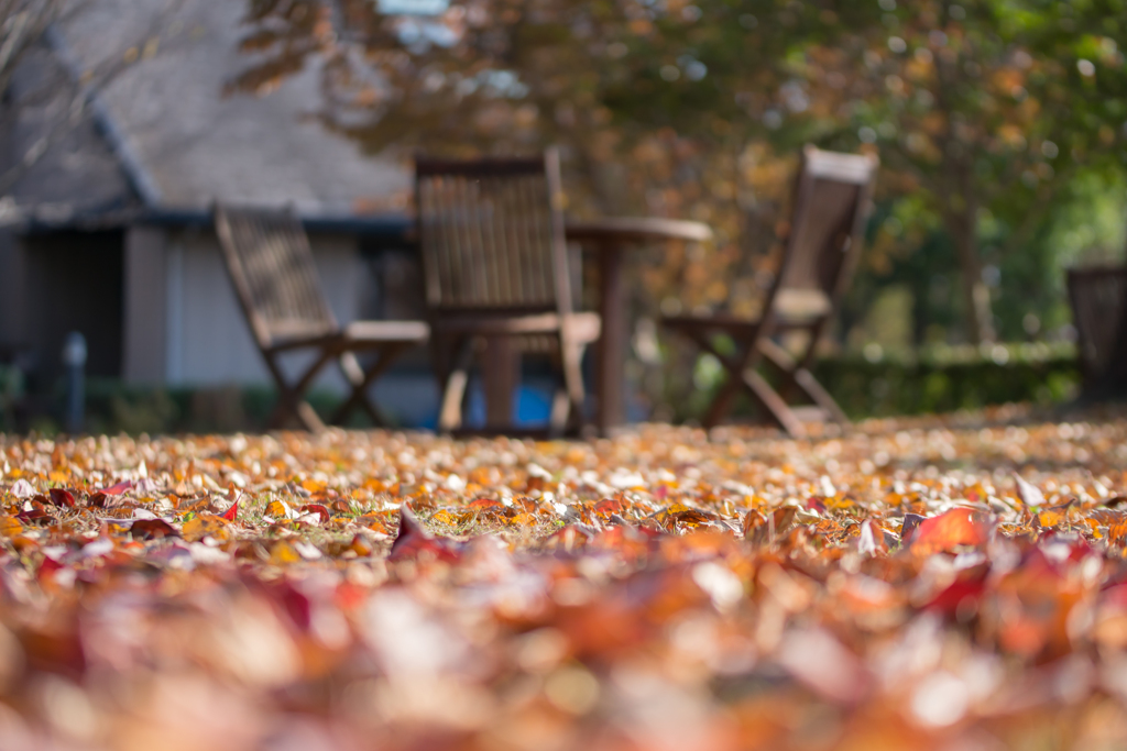 Autumn Park♪