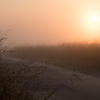 Morning fog..*