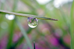水滴