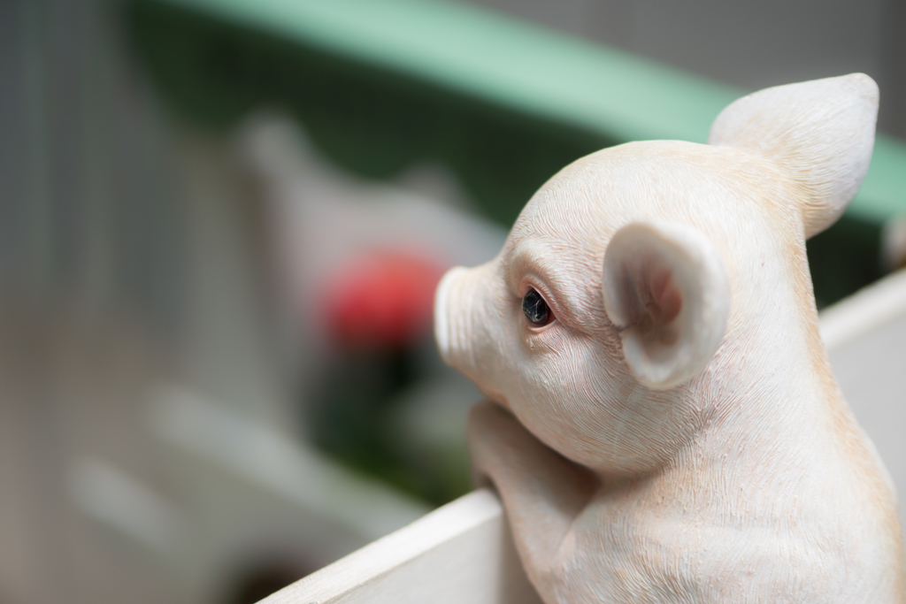 Piglet..♪