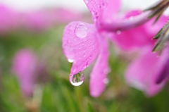 水晶玉