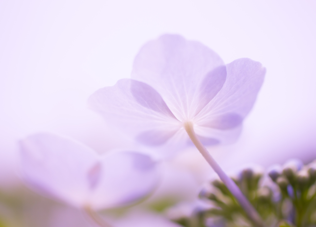 june..♪