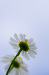 青空...♪