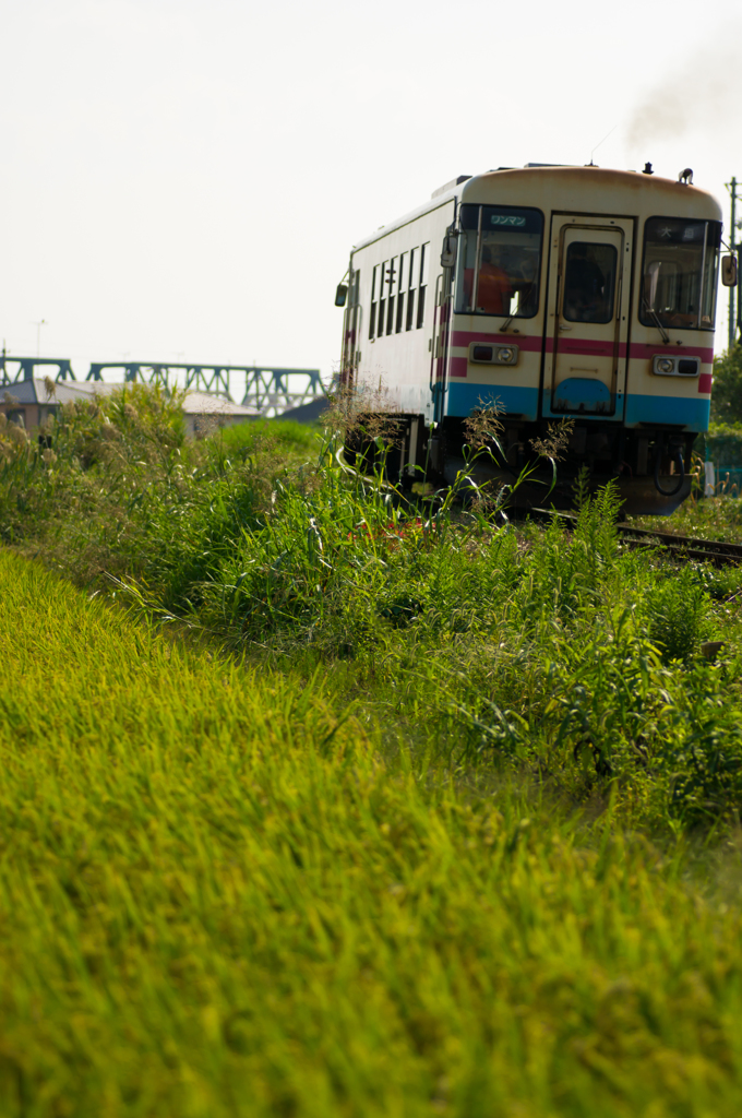 樽見鉄道